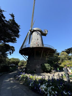 Dutch Windmill by null