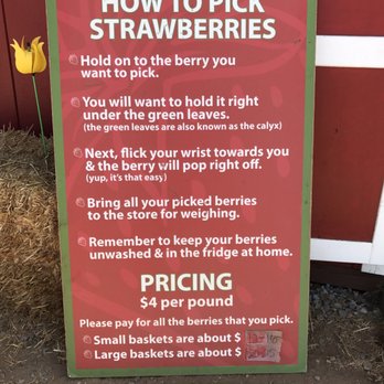 Kenny's Strawberry Farm - FYI - The how tos + pricing - Fruits & Veggies Near Me - Fallbrook, California
