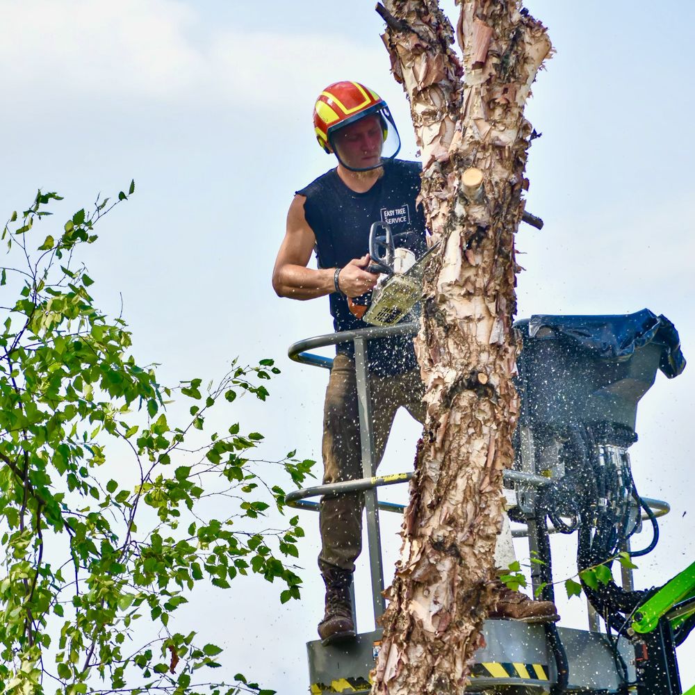 TOP 10 BEST Tree Services in Edina, MN - January 2024 - Yelp