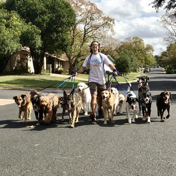 Walk! ATX Pet Care - Pack leader! - Dog Walkers Near Me - Austin, Texas