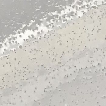 Elite Tub Reglazing - Surface was gritty and not smooth on both kitchen and bathtub. - Refinishing Services Near Me Elite Tub Reglazing - Surface was gritty and not smooth on both kitchen and bathtub. - Refinishing Services Near Me