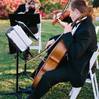 Angelica Strings - Musicians Near Me