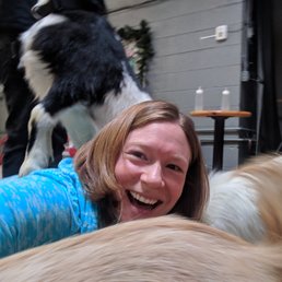 Goats EVERYWHERE!