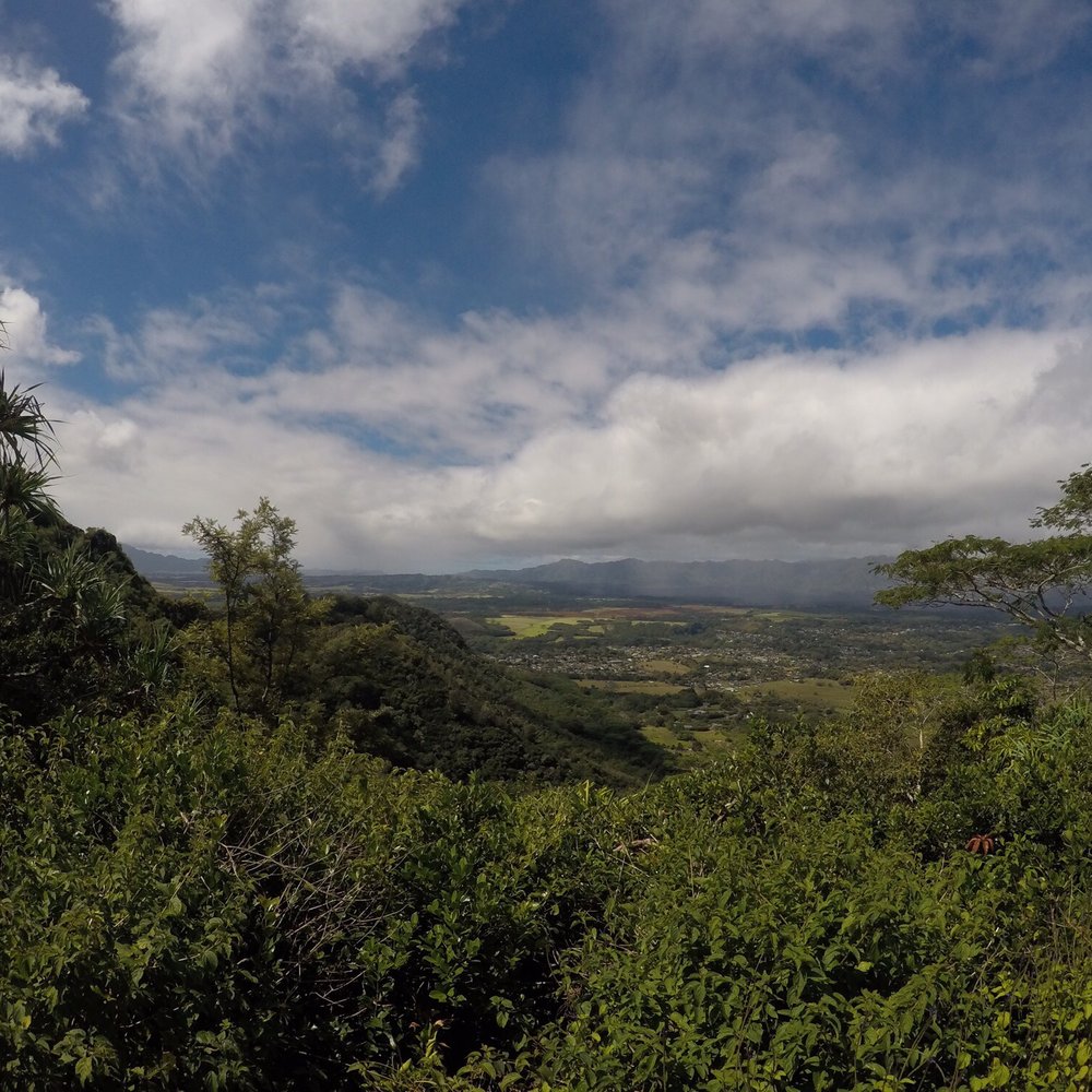 Sleeping Giant Trail - Hiking Near Me - Kapaa, Hawaii Sleeping Giant Trail - Hiking Near Me - Kapaa, Hawaii
