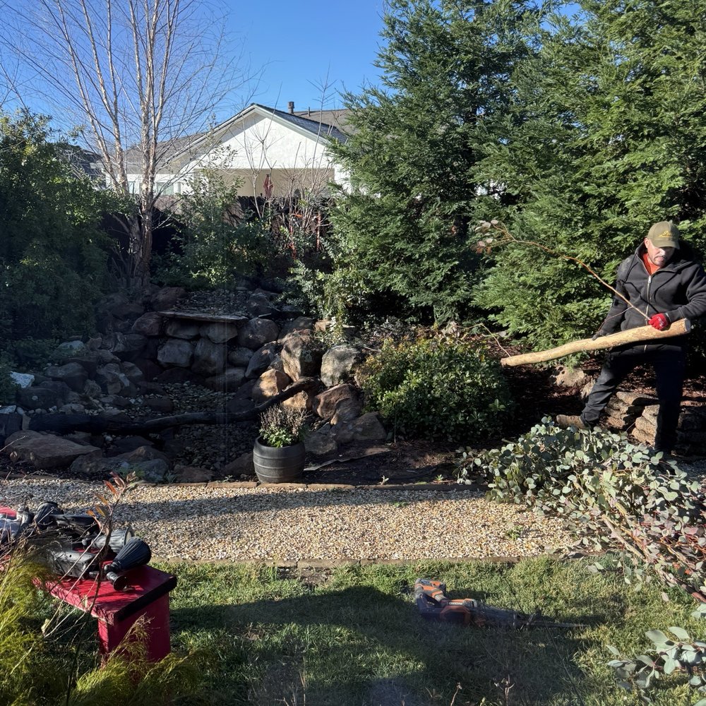 Paul's Landscapes - Tree removed - Lawn Services Near Me - Redding, California