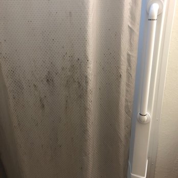 Motel 6 - Whatever is on this shower curtain should NOT be there. - Hotels Near Me - Weed, California Motel 6 - Whatever is on this shower curtain should NOT be there. - Hotels Near Me - Weed, California