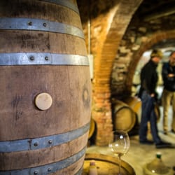 Villa Loggio - Wine and cellar tour