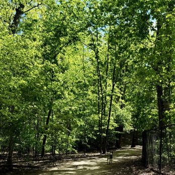 Timber Creek Park - Dog Parks Near Me - Gloucester Township, New Jersey