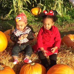Aster- Blossom Childcare