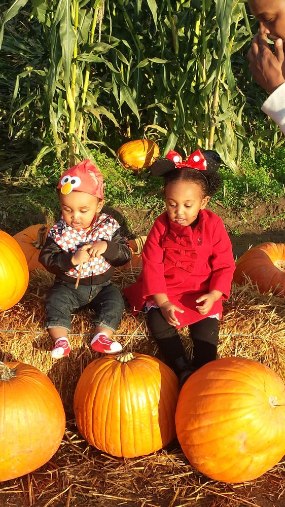 Aster- Blossom Childcare - childcare center in Seattle, WA