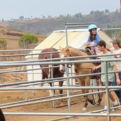 Poway Horse Party - Horseback riding