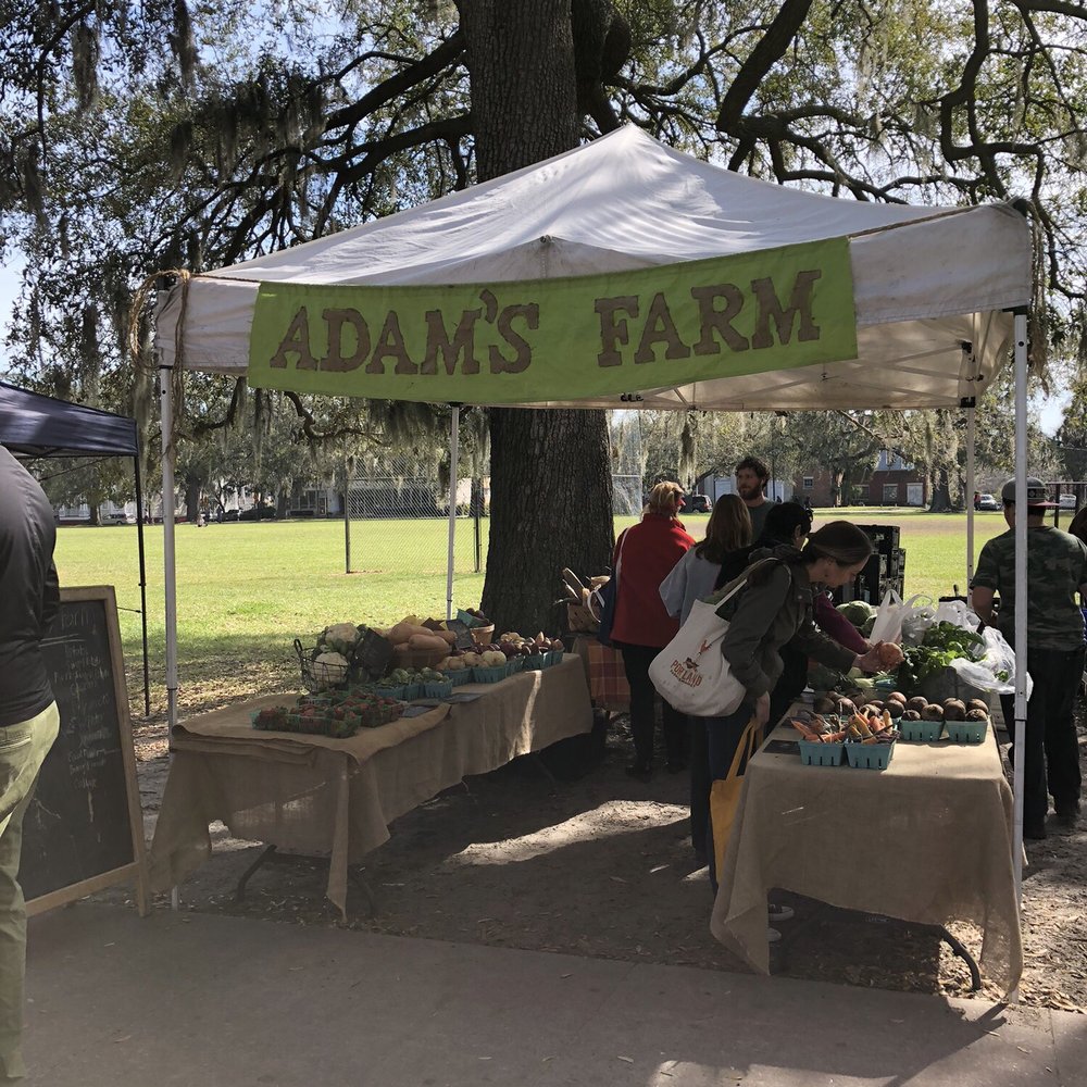 Forsyth Farmer's Market - Farmers Market Near Me - Savannah, Georgia Forsyth Farmer's Market - Farmers Market Near Me - Savannah, Georgia