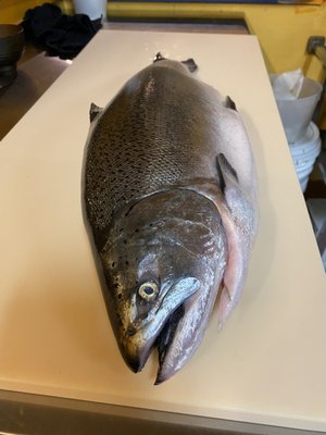 Tomo Sushi @Burien by null