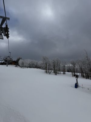 Timberline Mountain by null