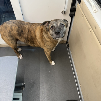 Cr8 Tive - Pet Groomers Near Me Cr8 Tive - Pet Groomers Near Me