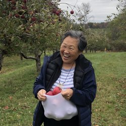 Philip Orchards - Joys of picking your own.
