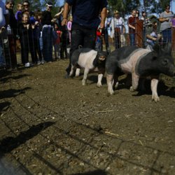Denver Rescue Mission, Harvest Farm