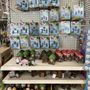 Photo of Dollar Tree