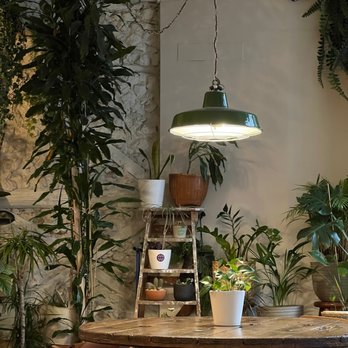Fauna & Flora - Cafes Near Me - Lisbon, 11