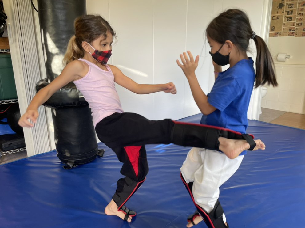 Get Home Safe: Practical Self Defense Concepts Logo