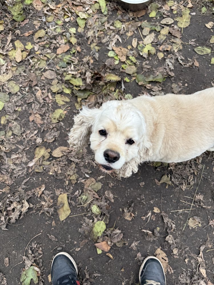 Total Wags - pet boarding facility in Brooklyn Center, MN