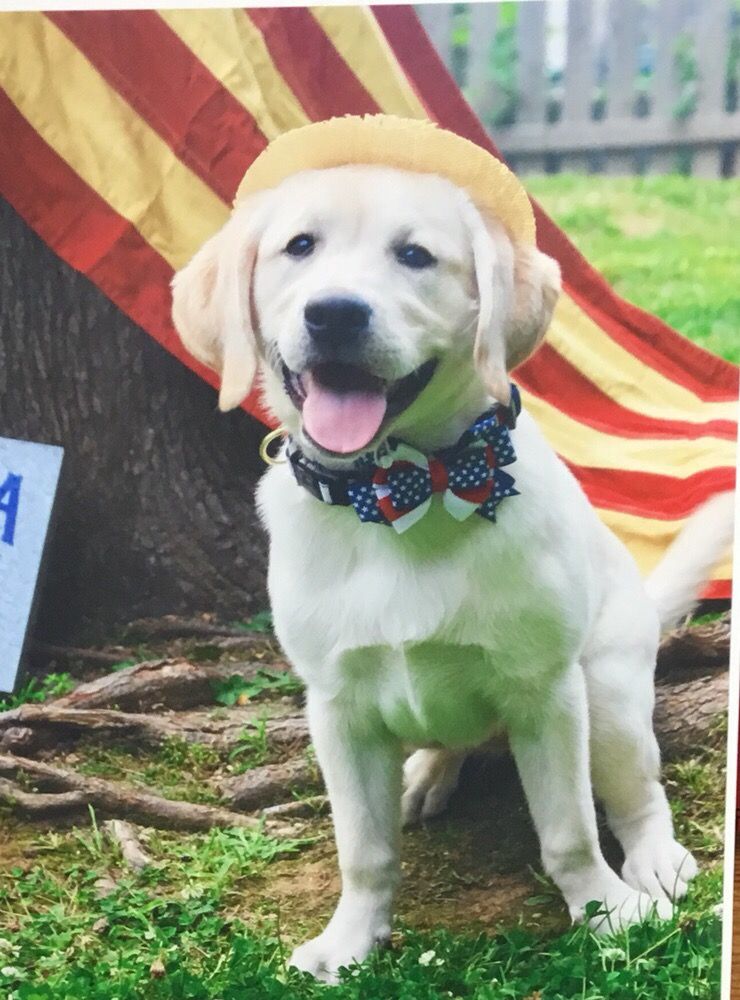 GIBBONS VETERINARY HOSPITAL Updated October 2024 25A Building D Rte