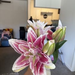 D & M Wholesale Flowers