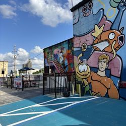 Toon Town Pickleball