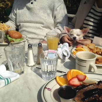 Elysian Cafe - The Elysian Burger, Two Eggs Any Style, and Cinnamon-Amaretto French Toast (must try!) - New American Near Me - Hoboken, New Jersey Elysian Cafe - The Elysian Burger, Two Eggs Any Style, and Cinnamon-Amaretto French Toast (must try!) - New American Near Me - Hoboken, New Jersey
