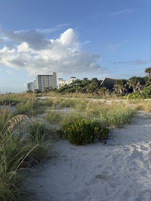 Venice Beach by null