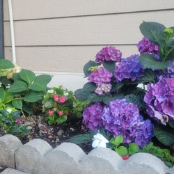JCSP Gardening Services - Garden in the back