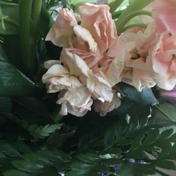 Oviedo Beautiful Flowers - Florists Near Me - Oviedo, Florida