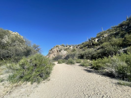 Honey Bee Canyon by null