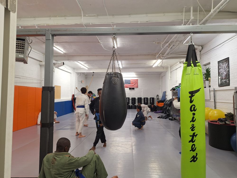 Team Endurance MMA Logo