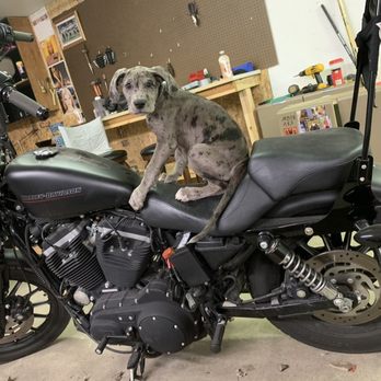 Throttle Addiction Motorcycle - Motorcycle Repair Near Me - Grand Forks, North Dakota Throttle Addiction Motorcycle - Motorcycle Repair Near Me - Grand Forks, North Dakota