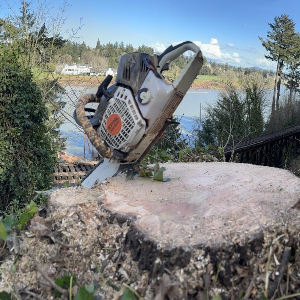 Colt Tree Service - Tree Services Near Me - Portland, Oregon Colt Tree Service - Tree Services Near Me - Portland, Oregon