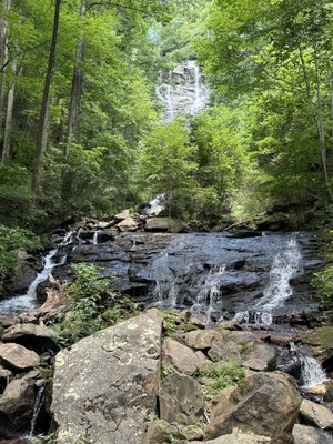 Amicalola Falls State Park by null