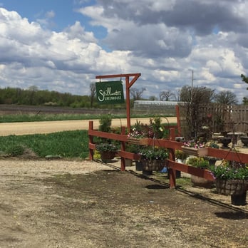 Stillwater Greenhouse - Wonderful greenhouse - Gardeners Near Me - Orchard, Iowa Stillwater Greenhouse - Wonderful greenhouse - Gardeners Near Me - Orchard, Iowa