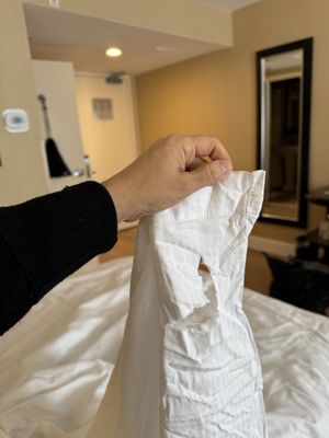 Sleepy Hollow Hotel, Dolce by Wyndham by null