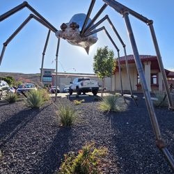 Morgan Termite and Pest Control