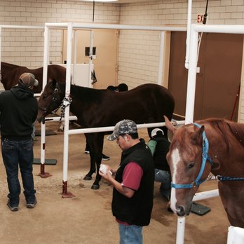 Elgin Veterinary Hospital, A Thrive Pet Healthcare Partner - Veterinarians Near Me - Elgin, Texas