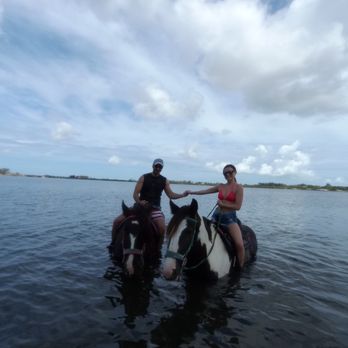 CPonies - Horseback Riding Near Me - Bradenton, Florida CPonies - Horseback Riding Near Me - Bradenton, Florida
