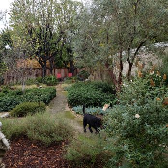 Specialized Tree Care & Landscape - Tree Services Near Me Specialized Tree Care & Landscape - Tree Services Near Me