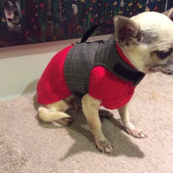 Yap Stores - Red cashmere sweater and a plaid harness from Yap. - Pet Stores Near Me - San Francisco, California Yap Stores - Red cashmere sweater and a plaid harness from Yap. - Pet Stores Near Me - San Francisco, California