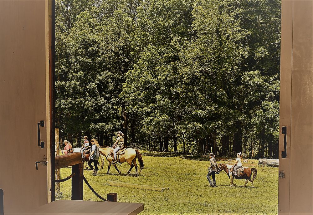 MEADOWS FARM Updated July 2024 3585 Dudleyville Rd, Dadeville