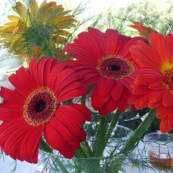 Coal Mountain Flowers - Bright and cheery centerpiece. - Florists Near Me - Cumming, Georgia Coal Mountain Flowers - Bright and cheery centerpiece. - Florists Near Me - Cumming, Georgia