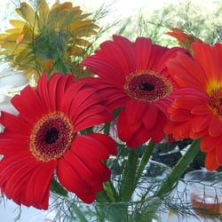 Coal Mountain Flowers - Bright and cheery centerpiece.
