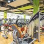 Calypso Premium Fitness Club