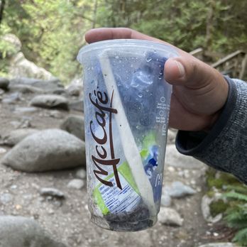 Lynn Canyon Park - This is about a third of the total trash we picked up on our hike from suspension bridge to 30 foot pool. - Parks Near Me - North Vancouver, British Columbia