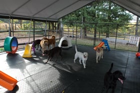 Primrose Lane Farm Image